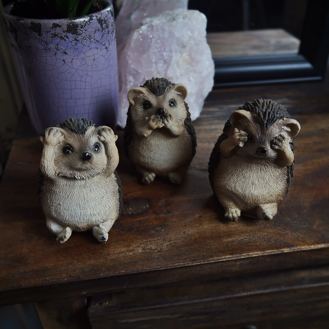 Nemesis Now - Three Wise Hedgehogs Figurines - Multicolore